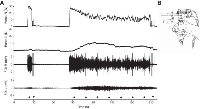 Fig. 2.