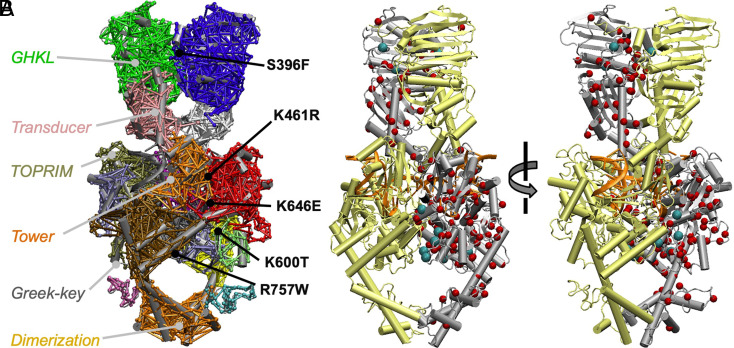 Fig. 4.