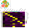 Figure 1—figure supplement 1.
