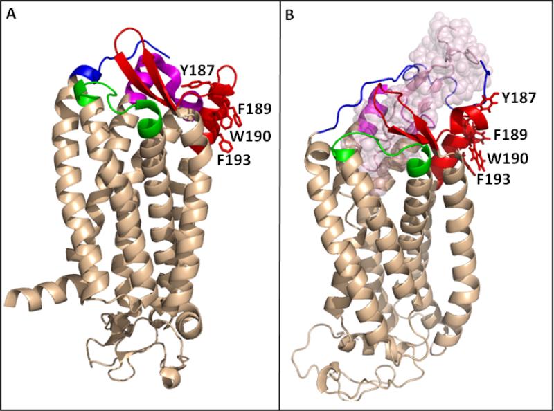 Fig. 9