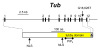 Figure 24