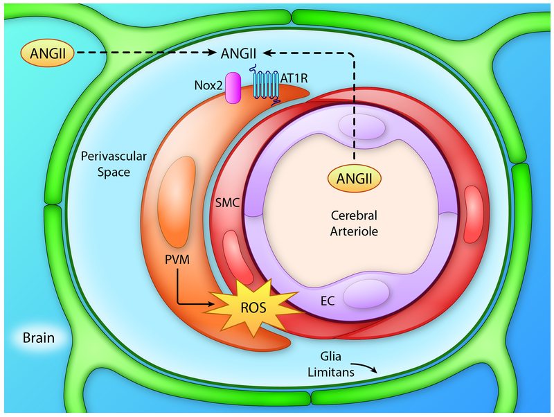 Figure 3: