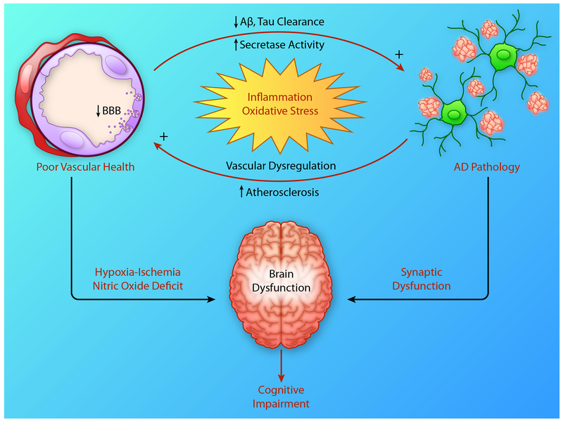 Figure 6: