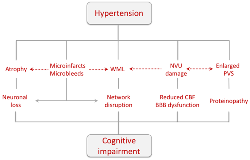 Figure 5: