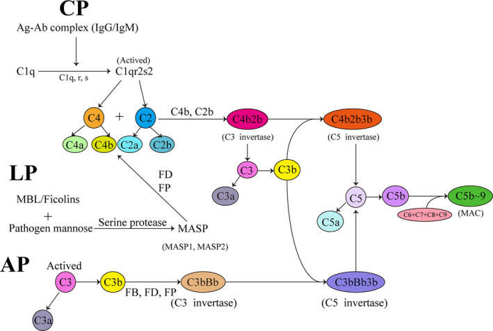 FIGURE 2