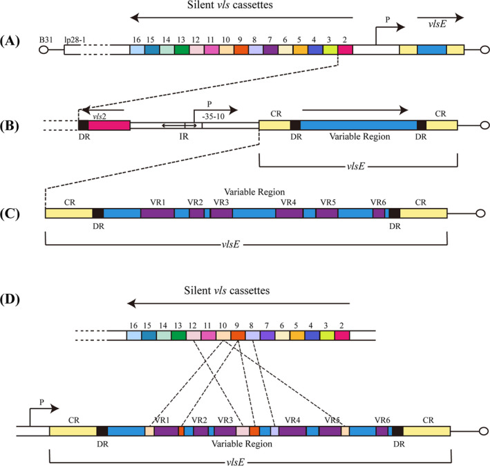 FIGURE 1