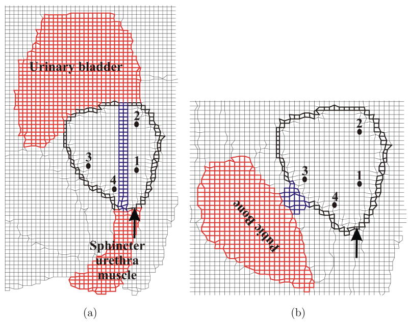 Fig. 8