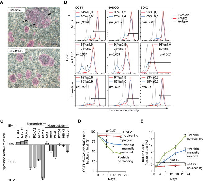 Figure 4