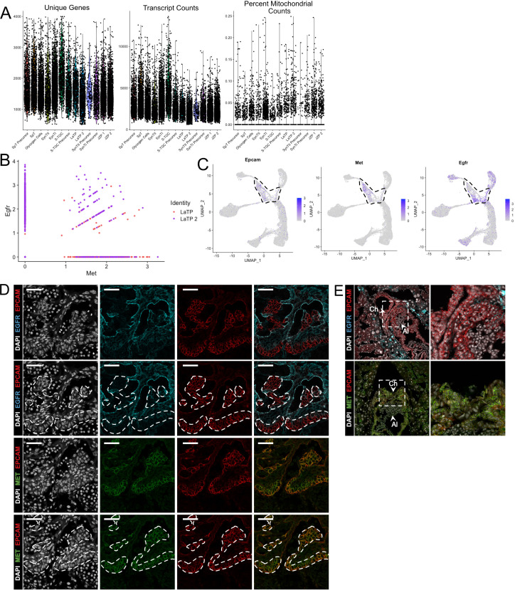 Figure 2—figure supplement 1.