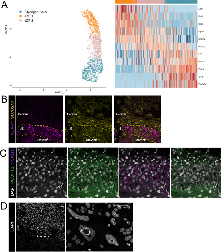 Figure 2—figure supplement 2.