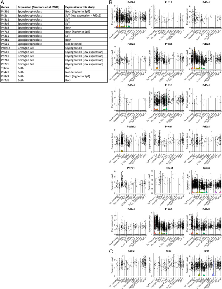 Figure 2—figure supplement 3.