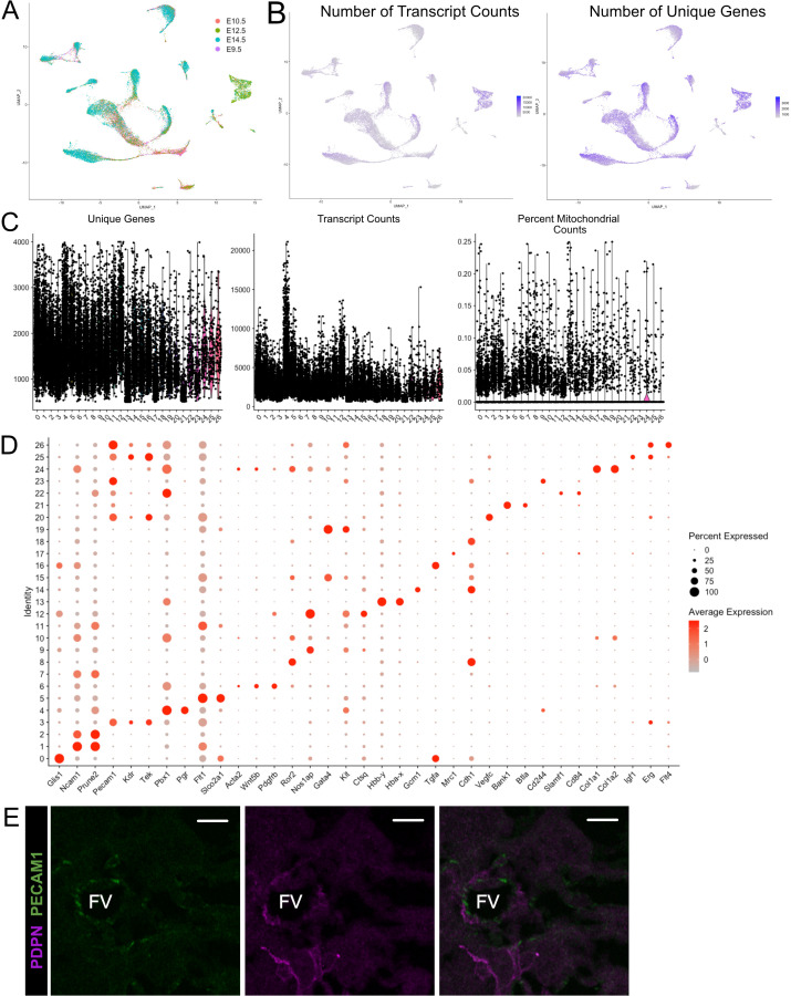 Figure 1—figure supplement 1.