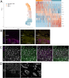 Figure 2—figure supplement 2.