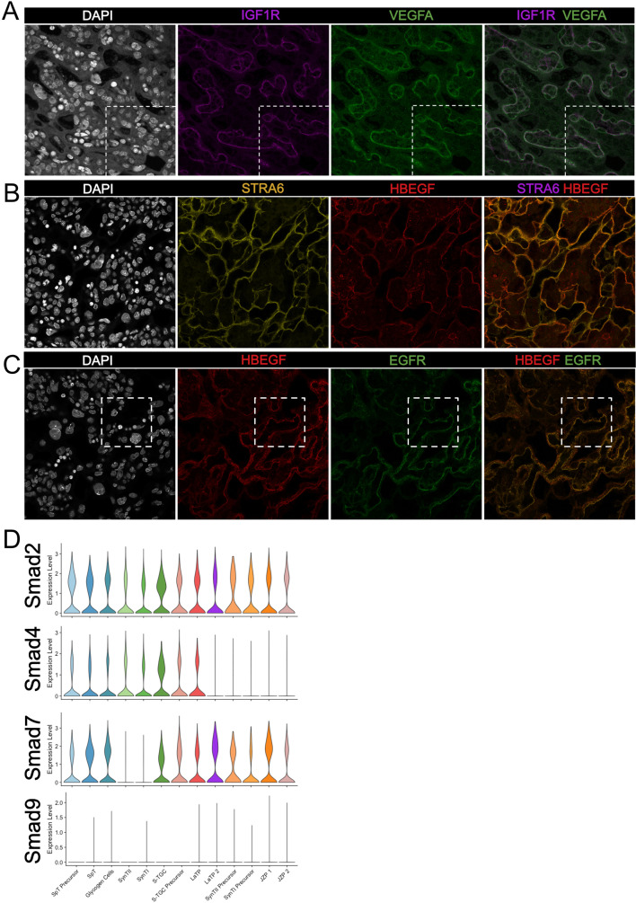 Figure 5—figure supplement 2.