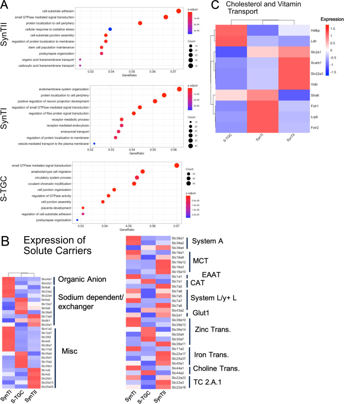 Figure 4—figure supplement 1.