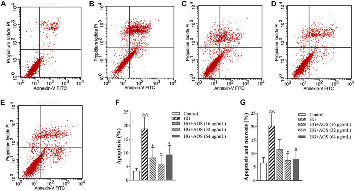 FIGURE 6