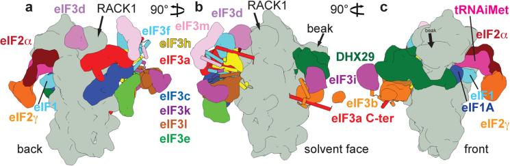 Fig. 5