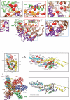 Extended Data Fig. 7