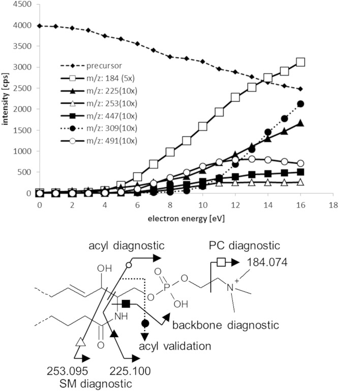 Fig. 3.