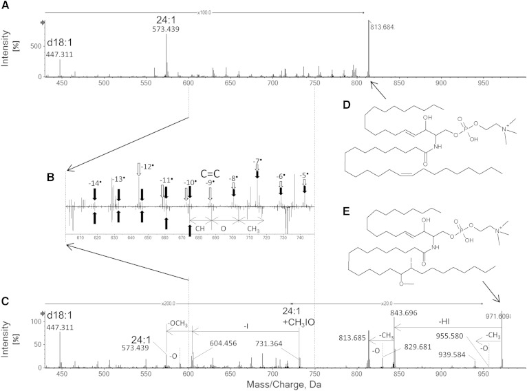 Fig. 7.