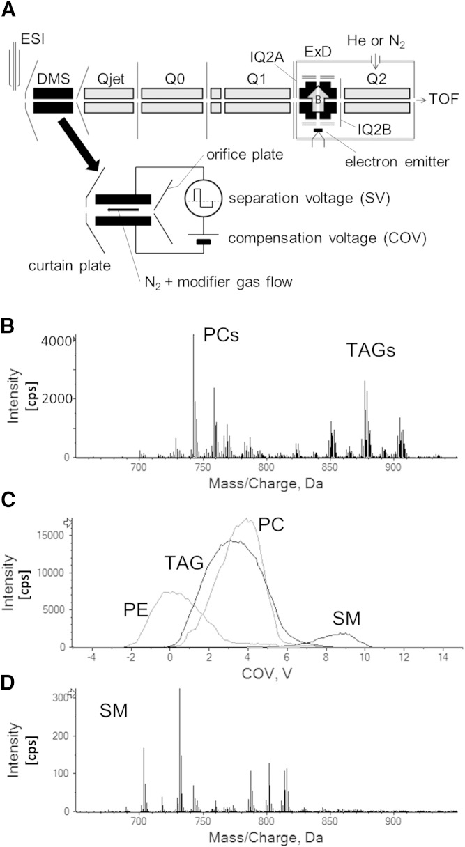 Fig. 1.