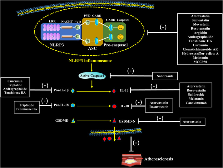 FIGURE 3