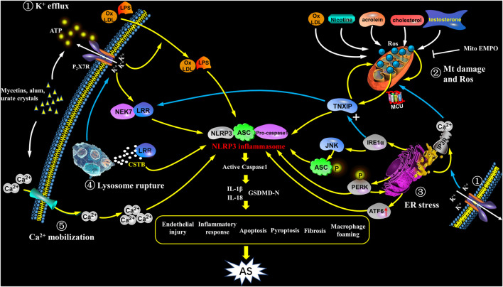 FIGURE 2