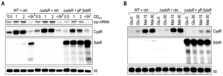 Figure 6.