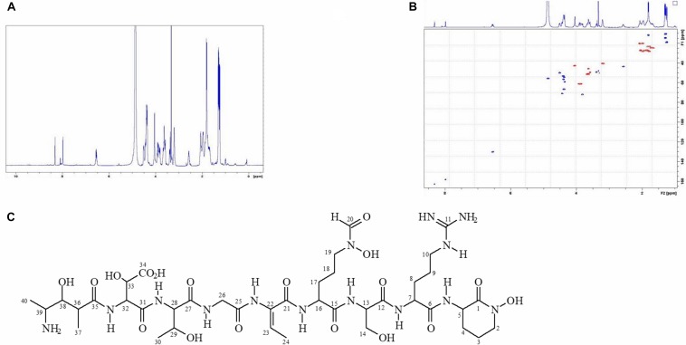 FIGURE 3