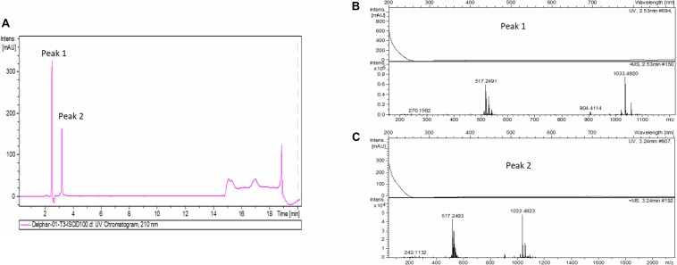 FIGURE 2