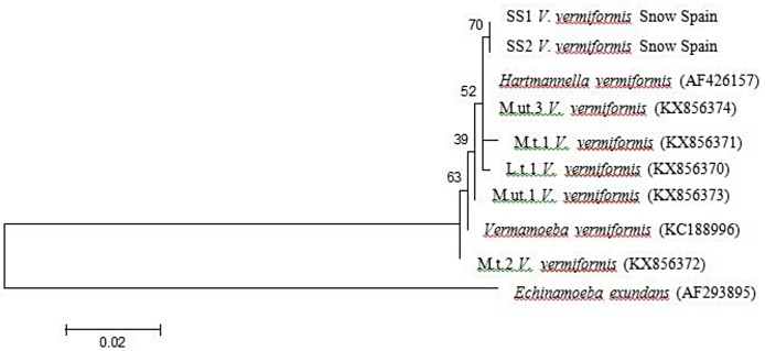 Fig 5