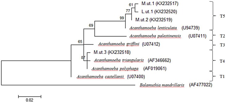 Fig 4