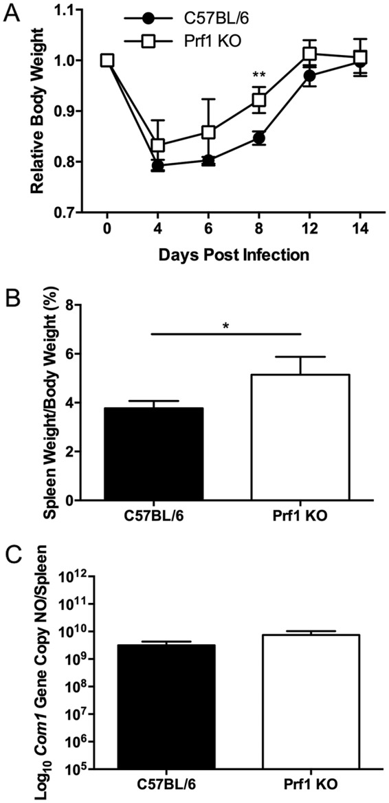 FIG 6