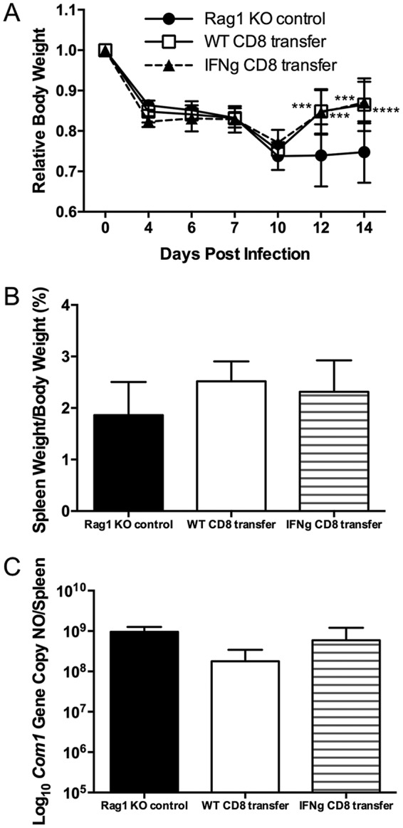 FIG 4