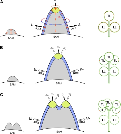 Figure 9.