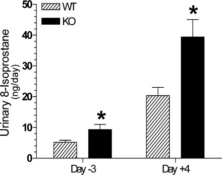 Fig. 8.