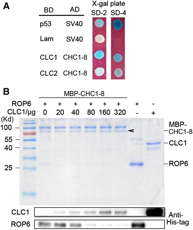 Figure 3.