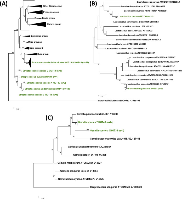 FIG 6