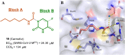 Fig. 14