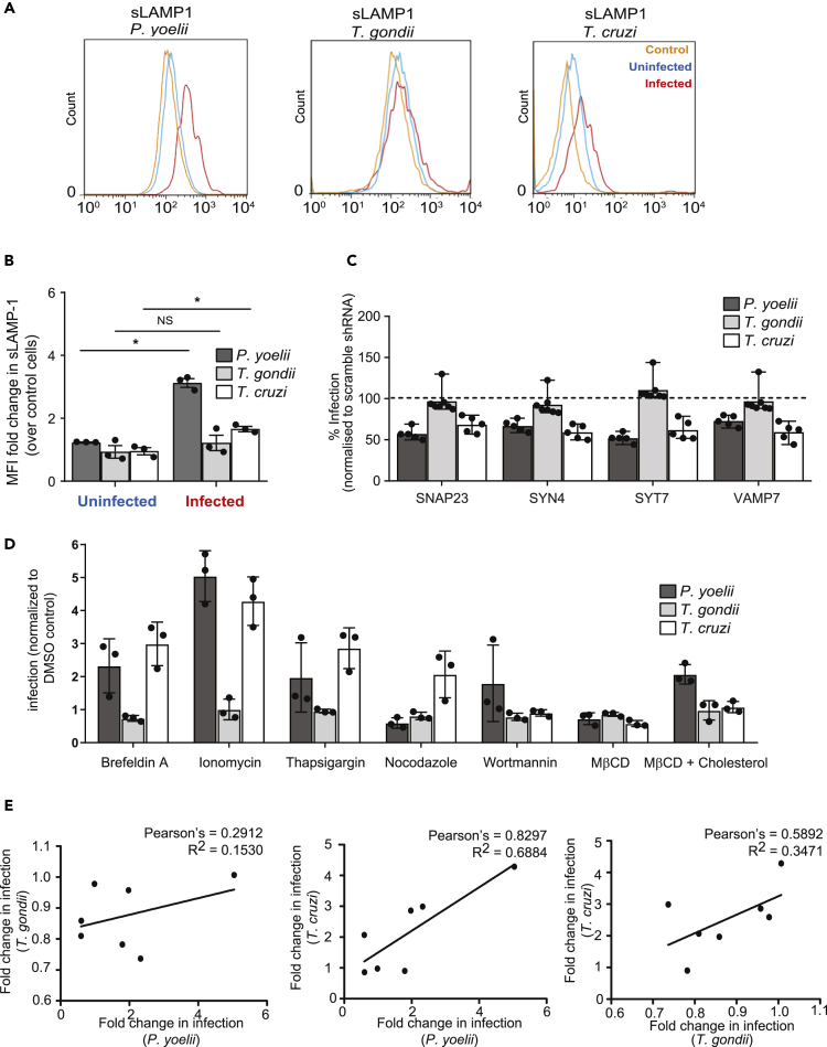 Figure 3