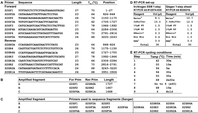 tabular image