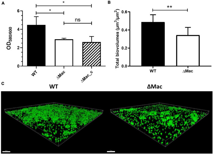 FIGURE 2