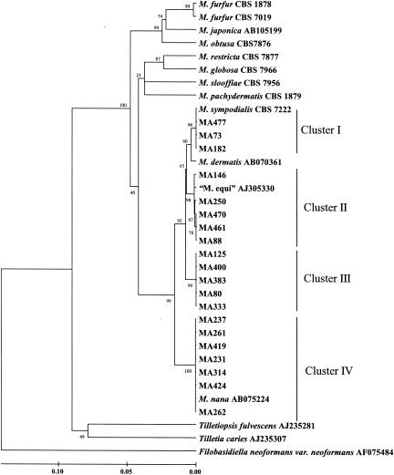 FIG. 1.