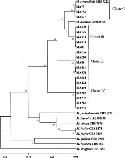 FIG. 2.