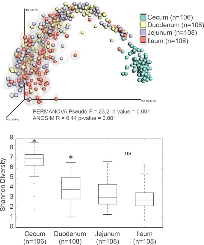 FIG 6