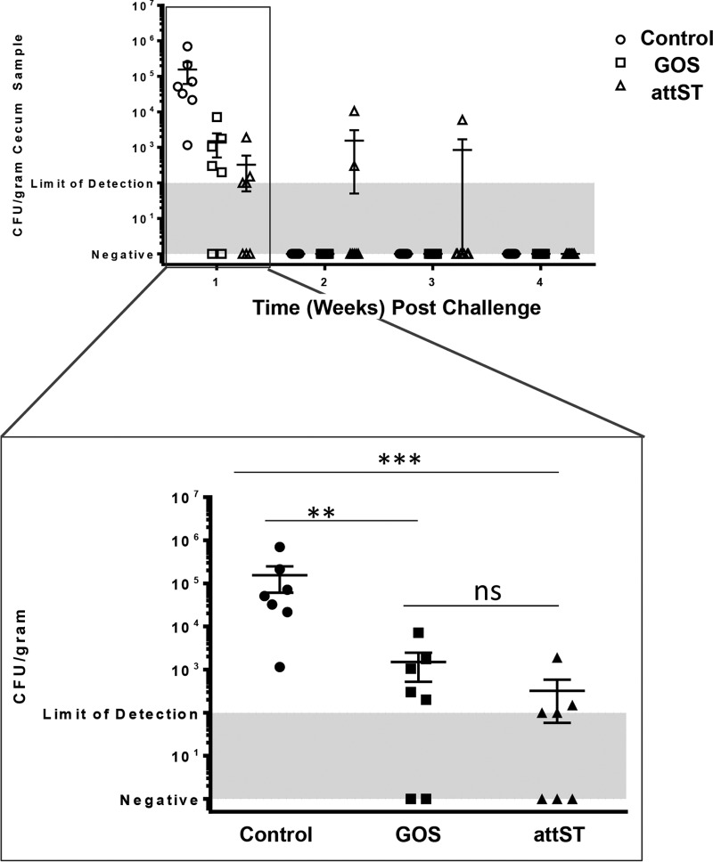 FIG 2