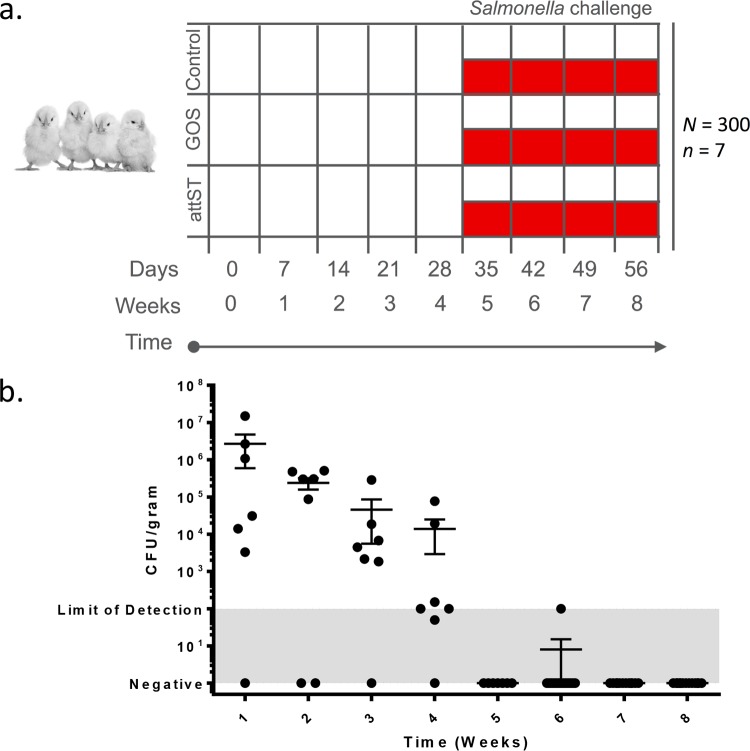 FIG 1