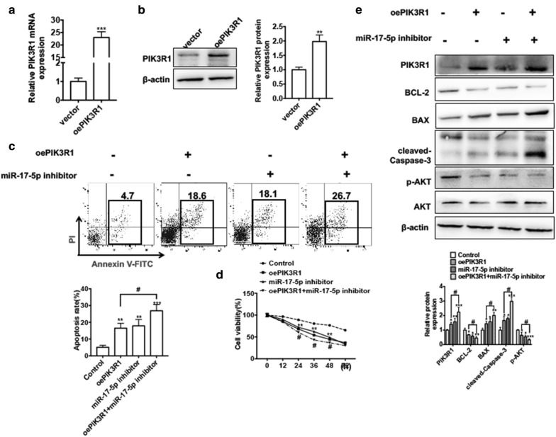 Fig. 6