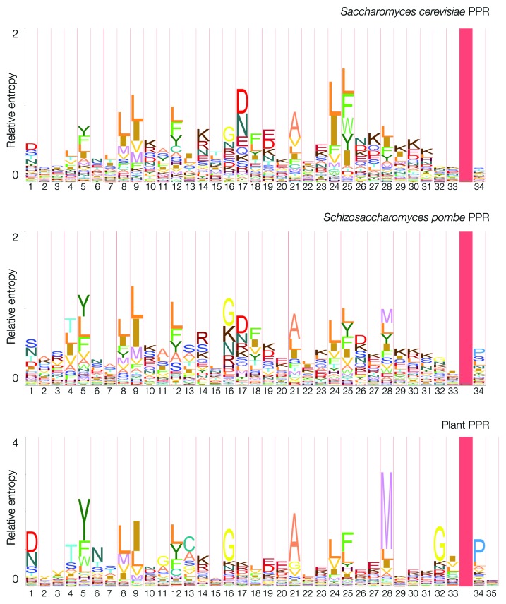 graphic file with name rna-10-1477-g3.jpg