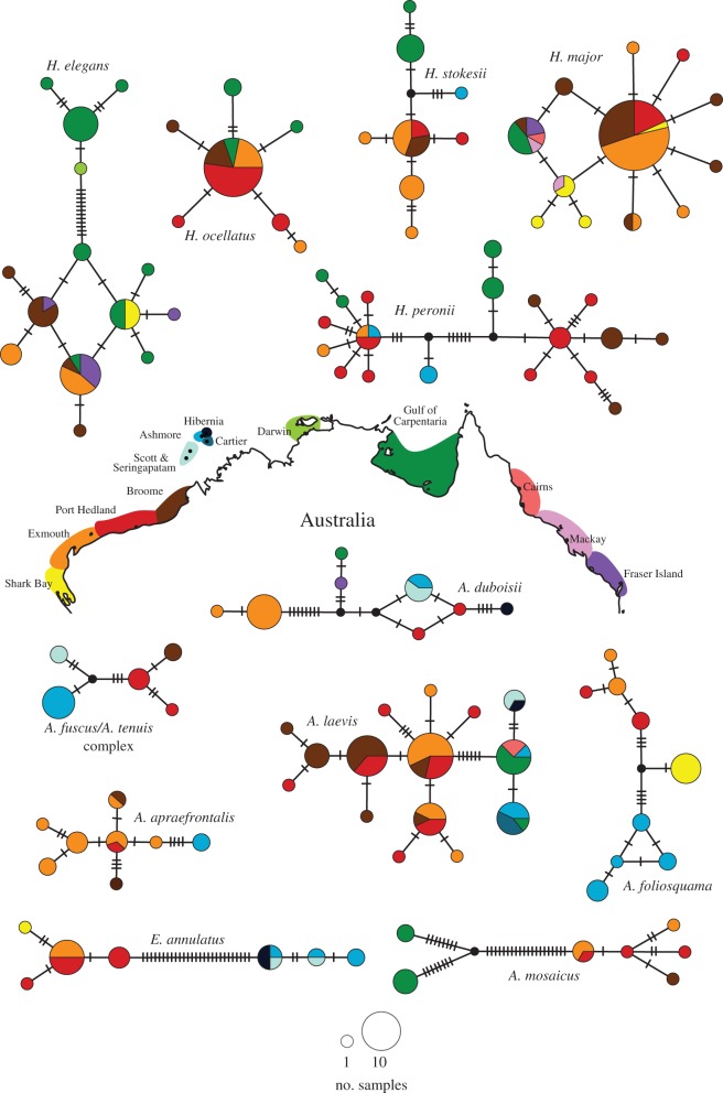 Figure 2.